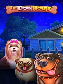 the dog house